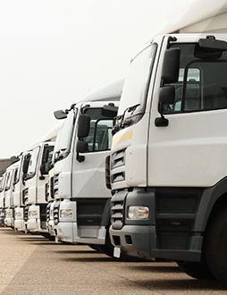 cooperation-images-1